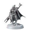 IMPERIAL VINDILORIAN ASSASSIN