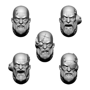 IMPERIAL TEMPLAR HEADS SET (5U)