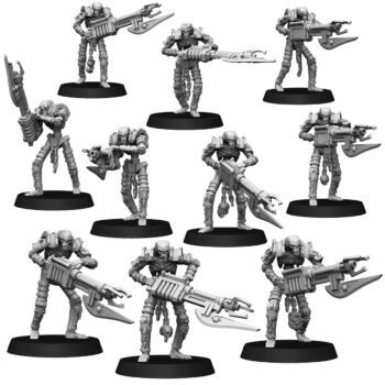 TOMB WORLD WARRIORS (10U)