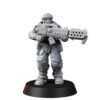DESERT HAWKS VETERAN WITH FLAMER