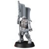 DESERT HAWKS STANDARD BEARER