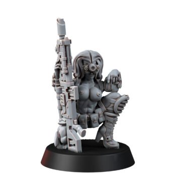 IMPERIAL SOLDIERS SNIPER BABE (PIN-UP)