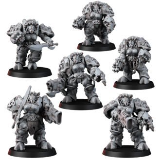 LEGIONNAIRES OF EXCESS SONIC TORMENTORS FEMALE ARMOR (6U)