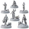SPACE PIONEERS PIONEER TEAM (6U)