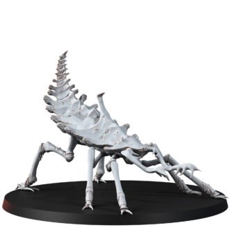 THE ERROISH TRIBE SAND SPRINTER FEMALE