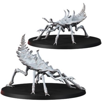 THE ERROISH TRIBE SAND SPRINTERS (2U)