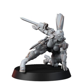 IMPERIAL SHADOWBLADE ASSASSIN CROUCHING