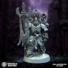 CIT OF PAIN SONIC SPECIALIST STANDARD BEARER
