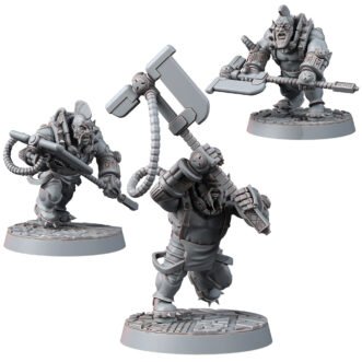 FEDERATION OF TYR BERSERK BRAWLERS WITH AXES