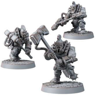 FEDERATION OF TYR BERSERK BRAWLERS WITH HAMMERS