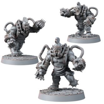 FEDERATION OF TYR BERSERK BRAWLERS