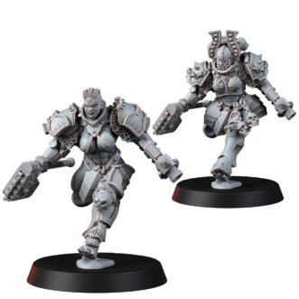 LEGION OF EXCESS LADY BERSERKER SAMPLES (2U)