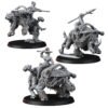 LEGION OF EXCESS SHE-ORC RHINOX RIDERS (PIN-UP) (3U)