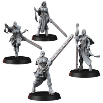 DIVINE ORDER DEATHMAIDENS ODISIRA WITH HOODEDS AND TABARDS