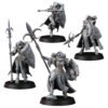 DIVINE ORDER SHIELDMAIDEN BUNDLE