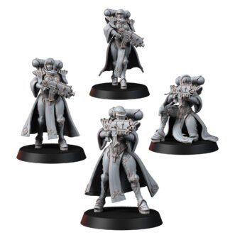 DIVINE ORDER SOLDIERS TORSYS