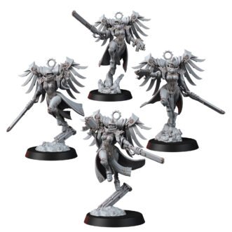 DIVINE ORDER VALKYRIE BUNDLE WITH LARGE CHEST