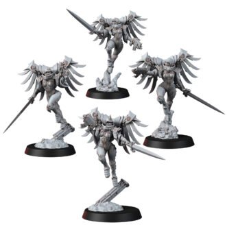 DIVINE ORDER VALKYRIE BUNDLE WITHOUT GOWN