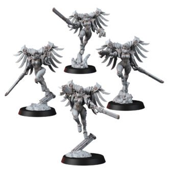 DIVINE ORDER VALKYRIE BUNDLE WITH LARGE CHEST AND WITHOUT GOWN