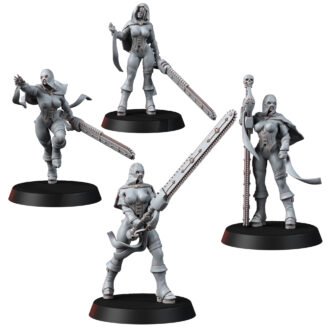 DIVINE ORDER DEATHMAIDENS ODISIRA WITH HOODEDS (PIN-UP)