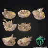 JUNGLE BASES 32MM
