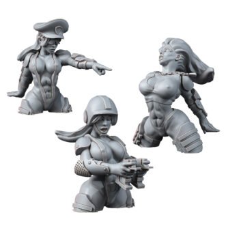 FEMALE CORPS VEHICLE CREW (PIN-UP)