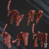 ROBOT LEGION COMMAND SQUAD LYCHGUARDS WITH SWORD AND SHIELD
