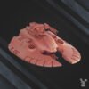 STAR ALVES GALAXY COLLIDER TANK