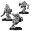 CHAOS OATHBREAKERS BRUTES