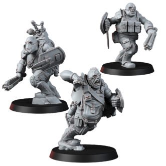 CHAOS OATHBREAKERS BRUTES