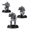 SUNSCORCH REGIMENT ASSISTANTS