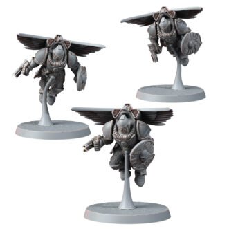 ORDO INVICTORIX PEGASUS ASSAULT SQUAD