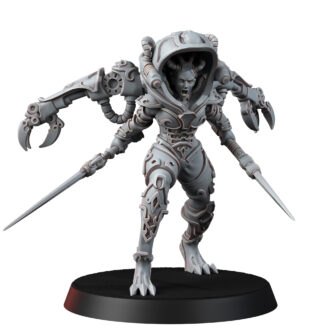 BOUNTY HUNTER LADY HESTIA