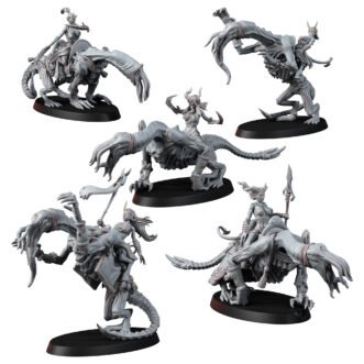 CHAOS OF EXCESS SUCCUBUS RIDERS
