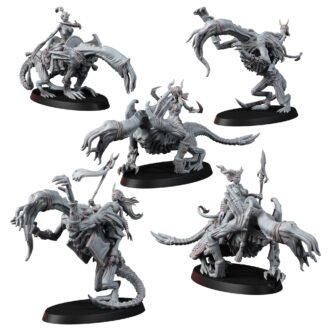 CHAOS OF EXCESS SUCCUBUS RIDERS WITH WINGS