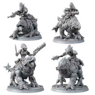 VULTURAK RAVOK RIDERS