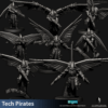 TECH PIRATES STORM RIDERS