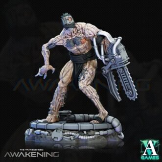 AWAKENING TRANCENDED LEFTOVERS (4U)