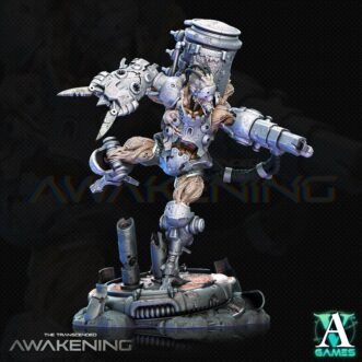 AWAKENING TRANCENDED RESERVOIR V3