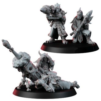 CHAOS GUARDSMAN OF CHANGED WAY HWT2