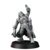 IMPERIAL COMMISSAR BEFORE THE DROP