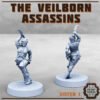 VEILBORN ASSASSINS V1