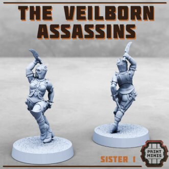 VEILBORN ASSASSINS V1