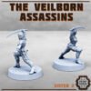 VEILBORN ASSASSINS V2