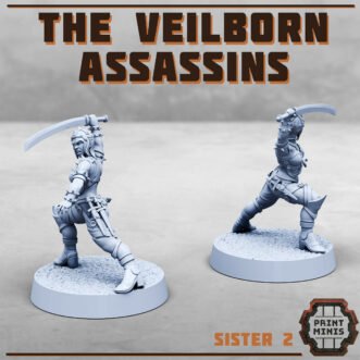 VEILBORN ASSASSINS V2