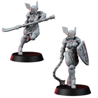 GUNS GRACE AND STEAM PALADIN NUN