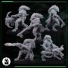 RAPTARI TEAM V2