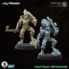 RAPTARI VETERAN V1