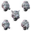 WOLVES OF WINTER SENTINEL PALADIN HEAD SET