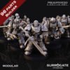 SILVER PALADINS ASSAULT SQUAD